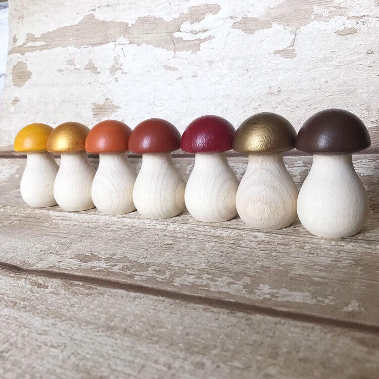 Rainbow Toadstool Peg Doll Set