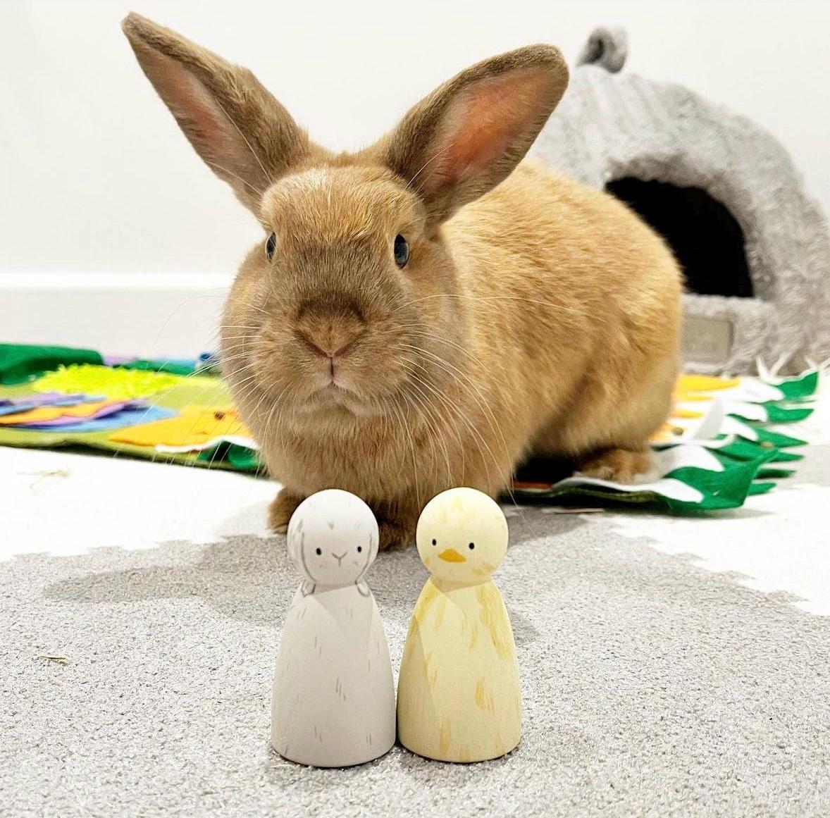 Easter Toys Peg Dolls