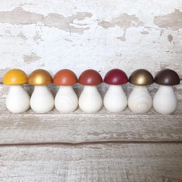 Rainbow Toadstool Peg Doll Set