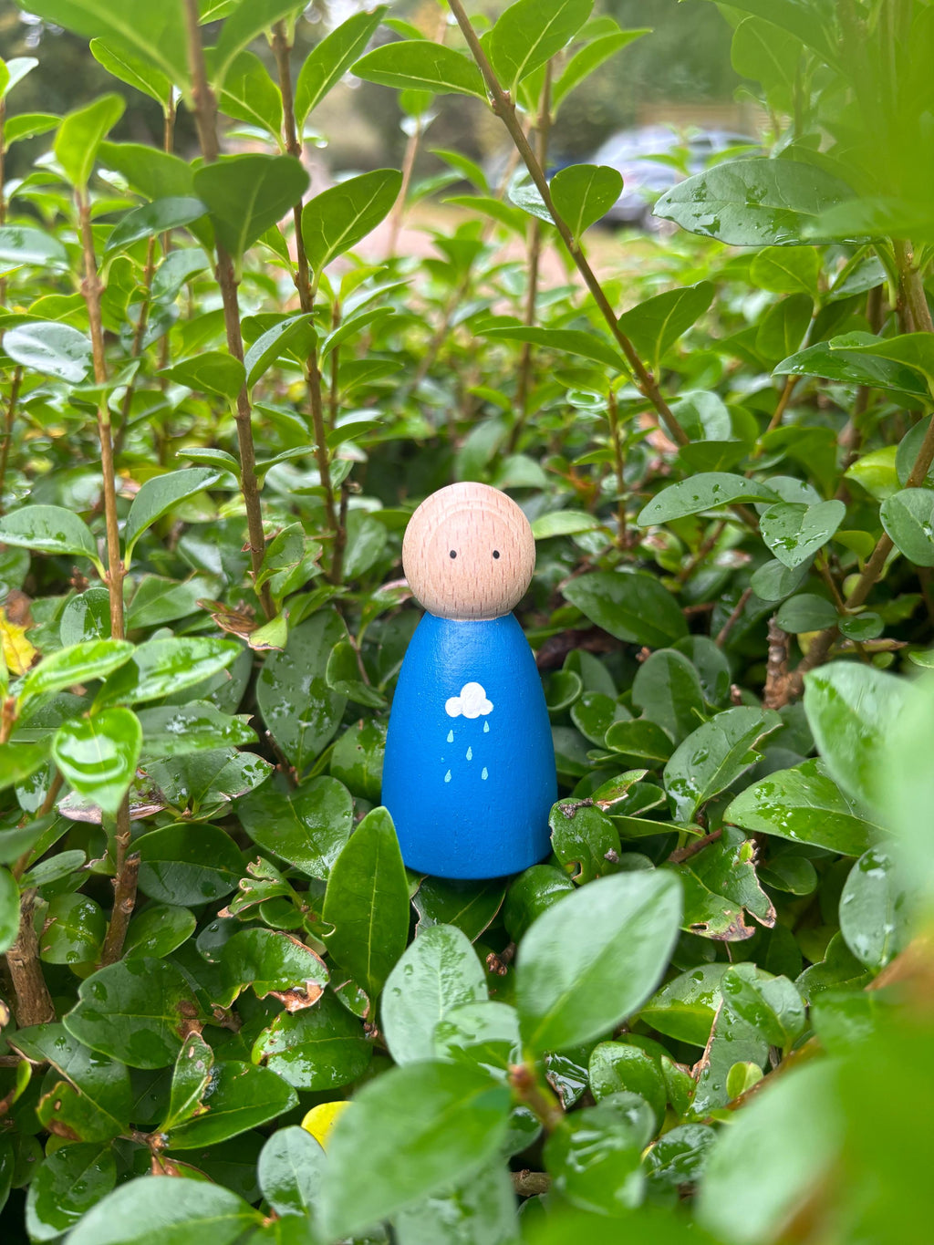 Simple Weather Peg Doll Set